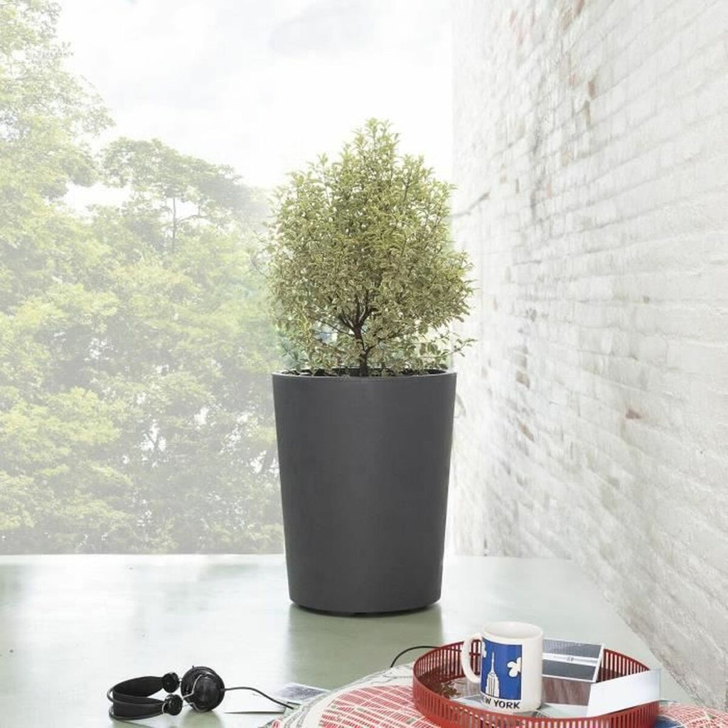 Planter Deroma Millennium R Grey Anthracite Plastic Recycled plastic Circular Vase-4
