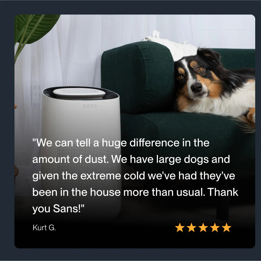 Air Purifier - Puck's