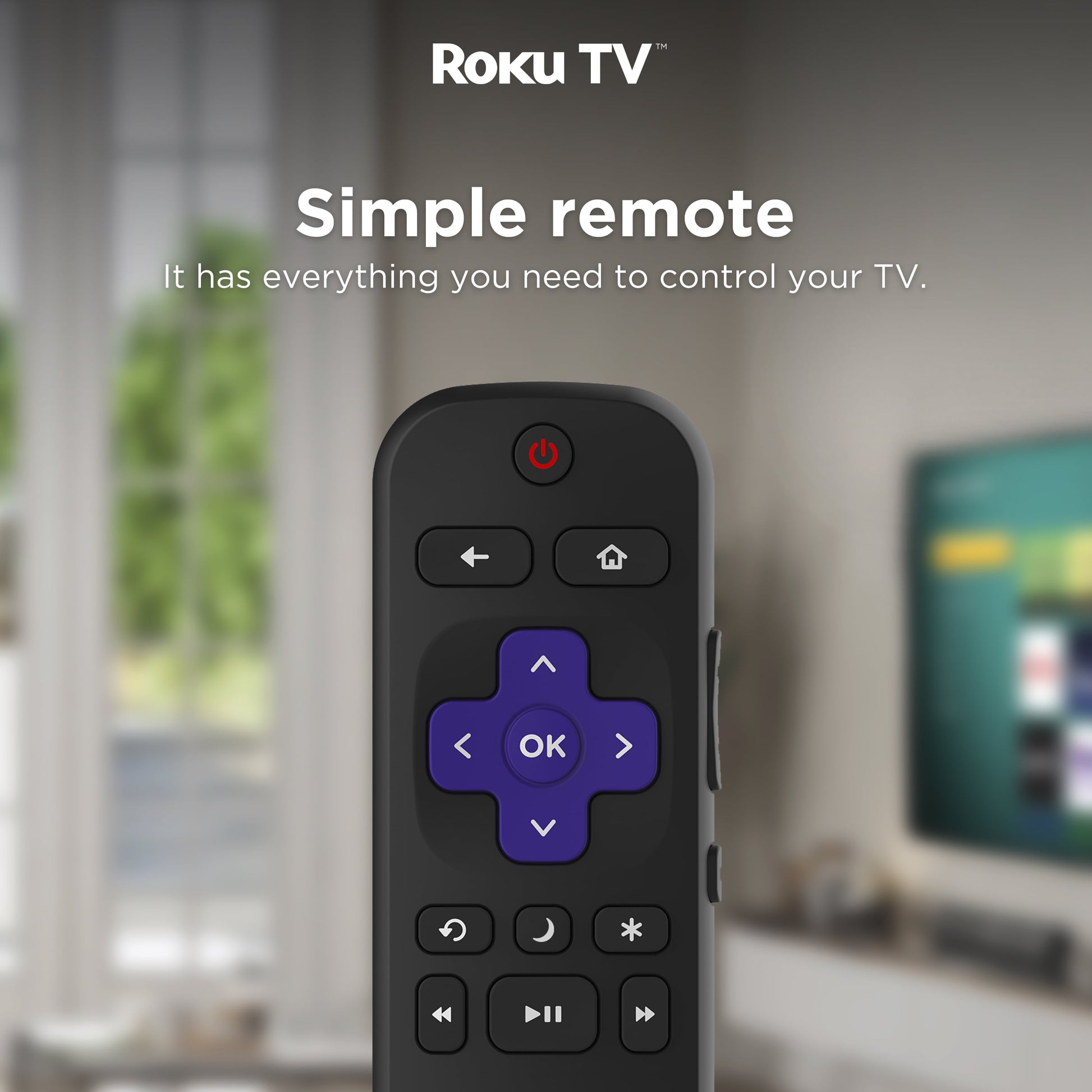 50" Class 4K UHD LED LCD Roku Smart TV HDR R6 Series 50R6E3 - Puck's