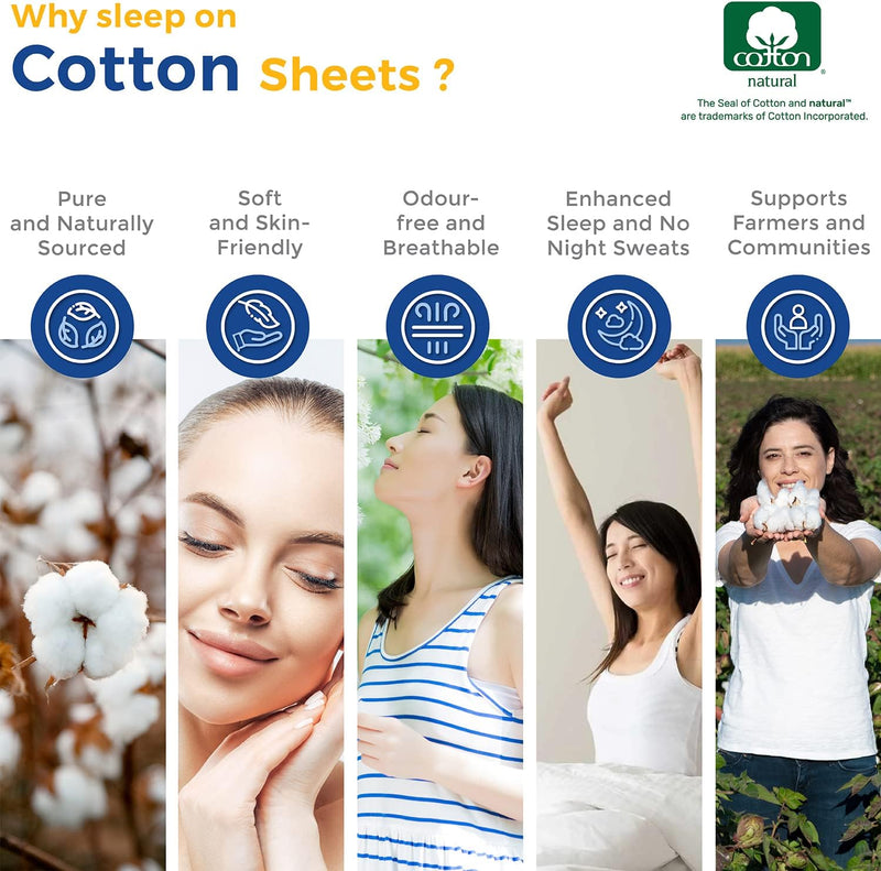 Pure Egyptian Quality Queen Size Cotton Bed Sheet Set - 600 TC Luxury 4 Piece 100% Cotton Bedsheets and Pillow Cases for Queen Beds - Soft, Sateen Weave, Deep Pocket Fitted and Flat Sheets - (Blush) - Puck's