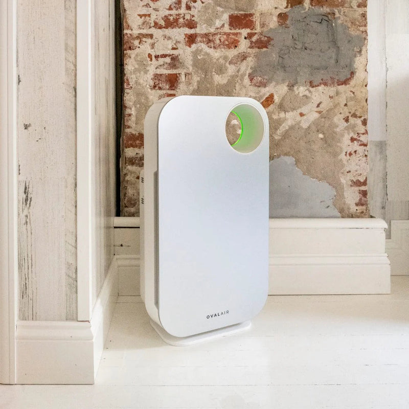 Oval Air Purifier - Puck's
