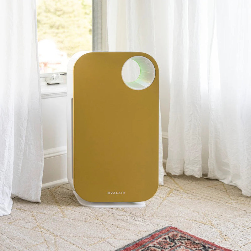 Oval Air Purifier - Puck's