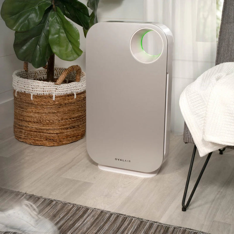 Oval Air Purifier - Puck's
