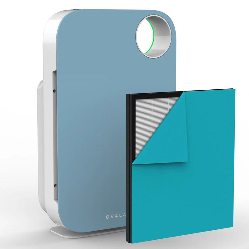 Oval Air Purifier - Puck's
