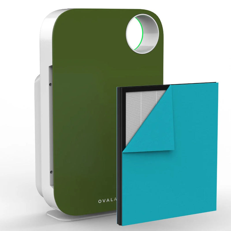Oval Air Purifier - Puck's