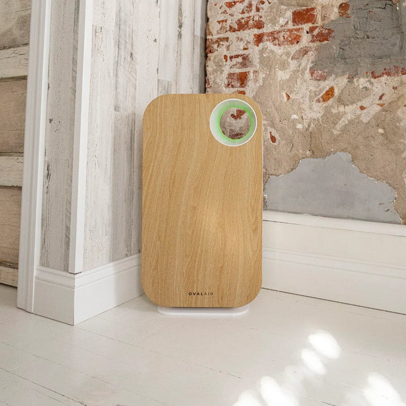 Oval Air Purifier - Puck's