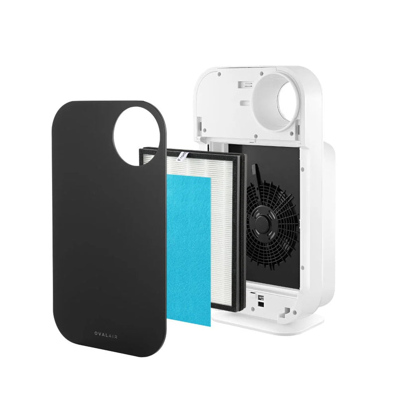 Oval Air Purifier - Puck's