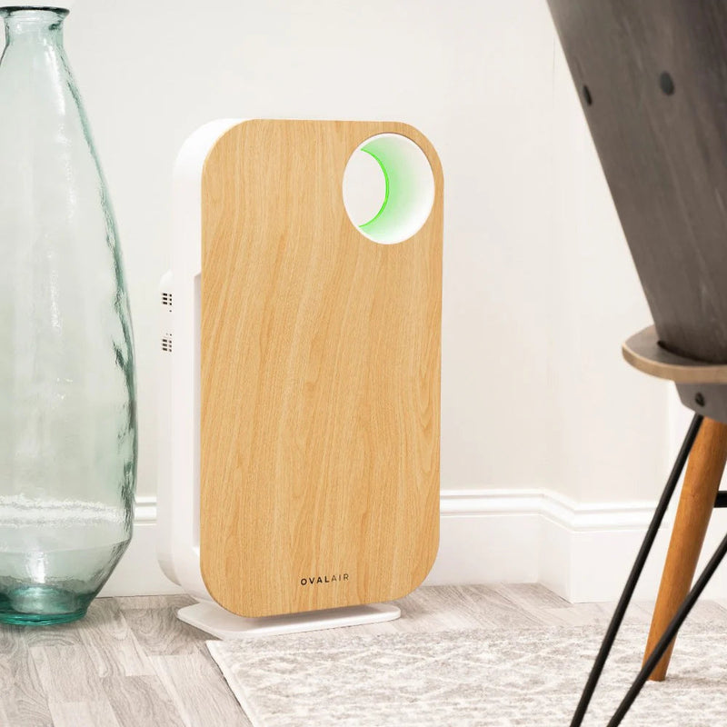 Oval Air Purifier - Puck's
