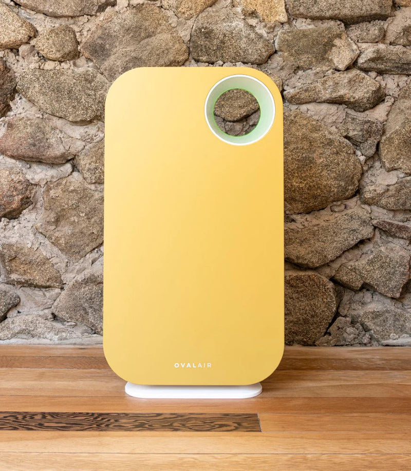 Oval Air Purifier - Puck's