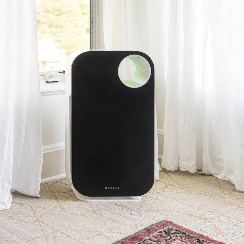 Oval Air Purifier - Puck's
