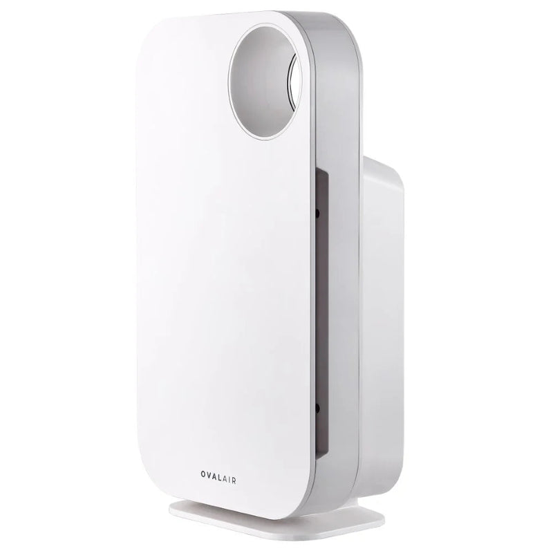 Oval Air Purifier - Puck's