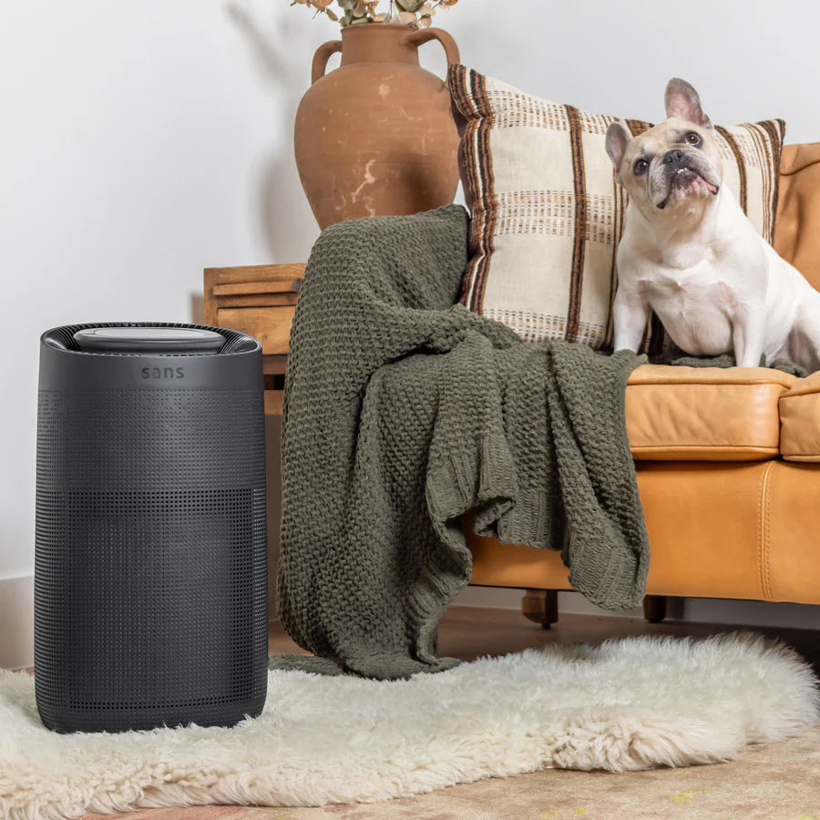 Air Purifier - Puck's
