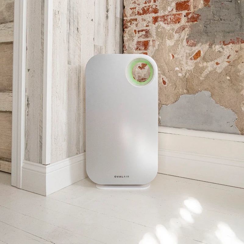 Oval Air Purifier - Puck's