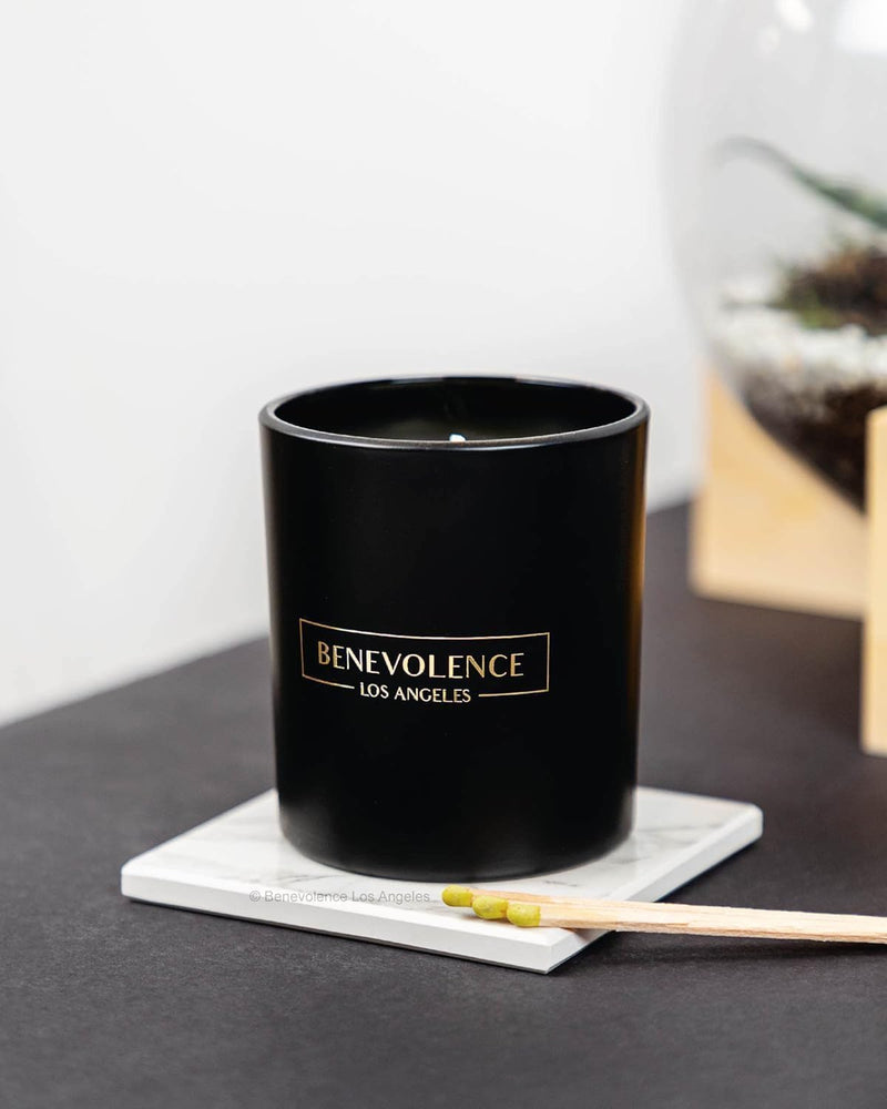 Bergamot & Jasmine Scented Candle | Soy Candles, Black Candle for Home | Gifts for Women and Men | Home Fragrance | Aromatherapy | 8Oz, 45 Hour Burn - Jasmine - Puck's