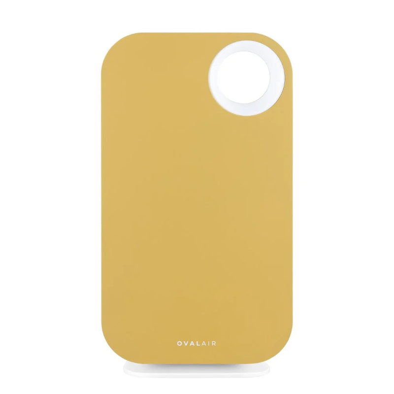 Oval Air Purifier - Puck's