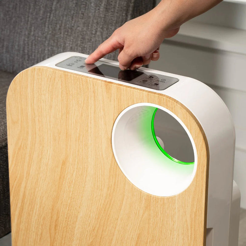 Oval Air Purifier - Puck's