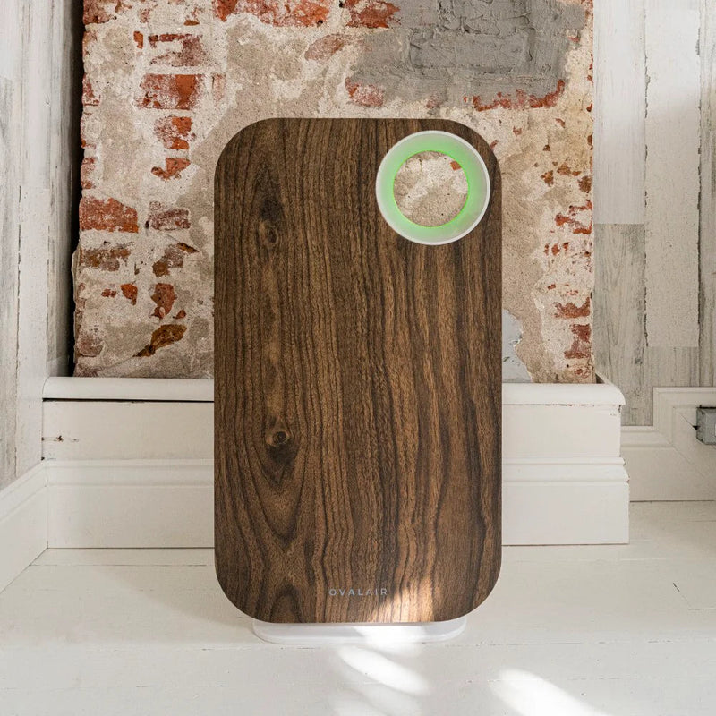Oval Air Purifier - Puck's