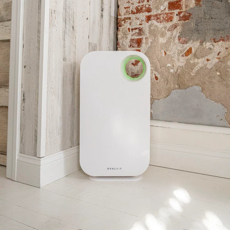Oval Air Purifier - Puck's