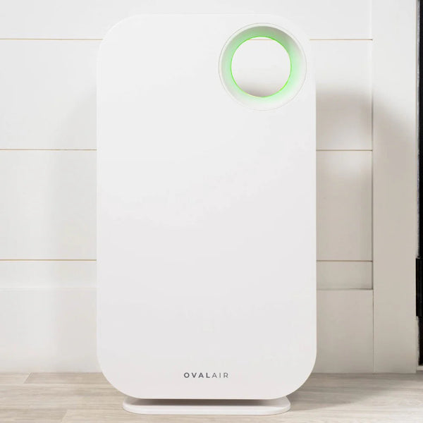 Oval Air Purifier - Puck's