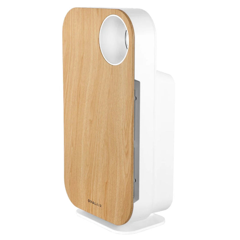 Oval Air Purifier - Puck's