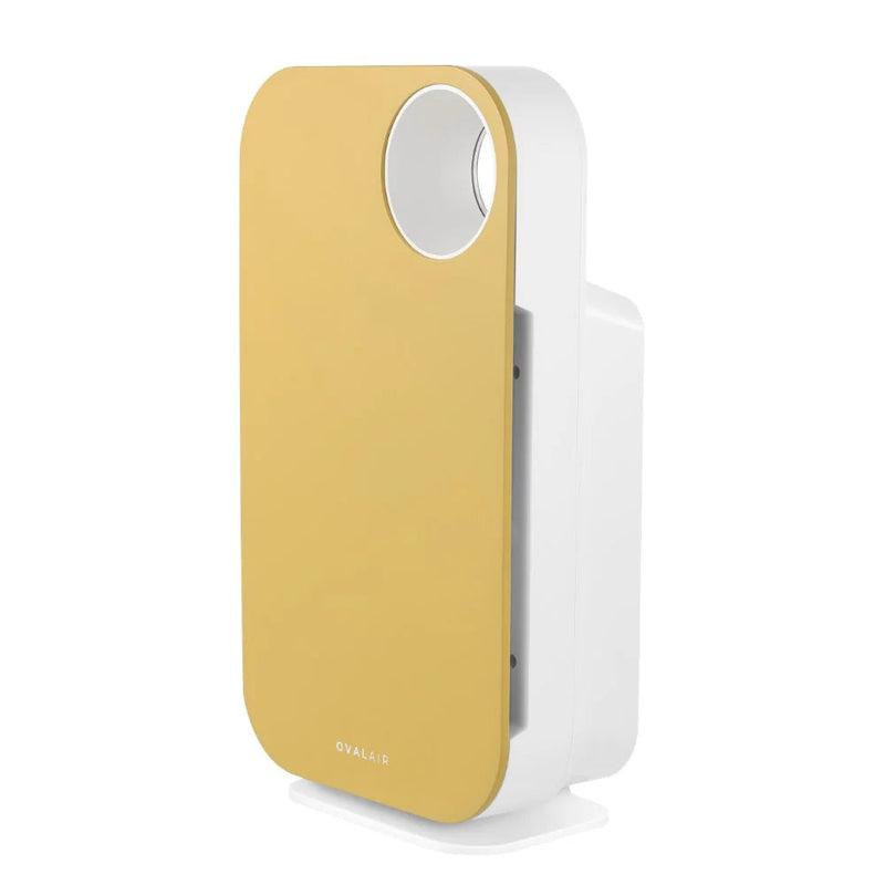 Oval Air Purifier - Puck's