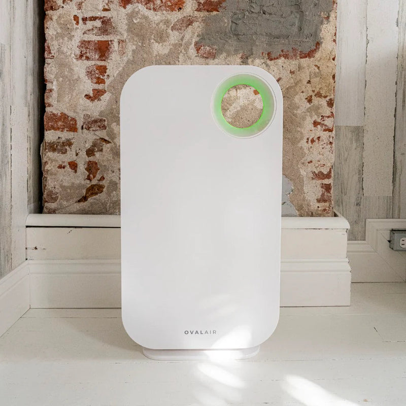 Oval Air Purifier - Puck's