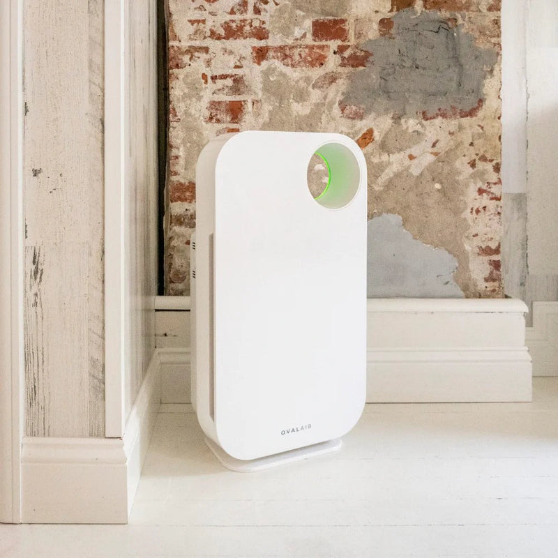 Oval Air Purifier - Puck's