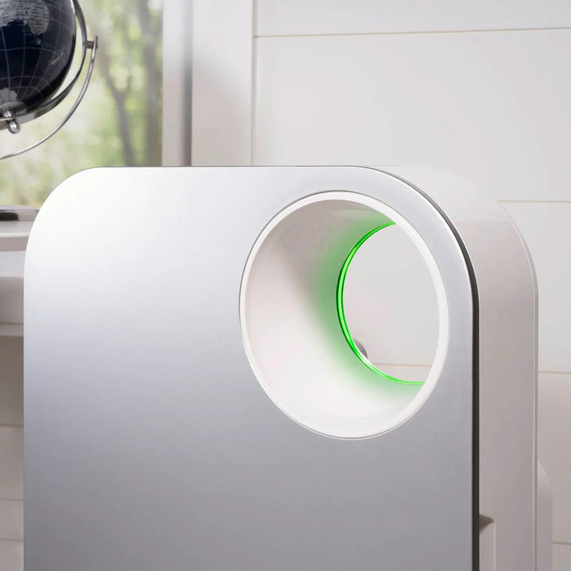 Oval Air Purifier - Puck's
