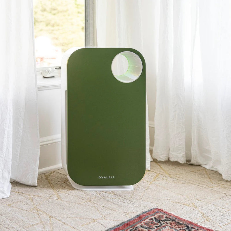 Oval Air Purifier - Puck's