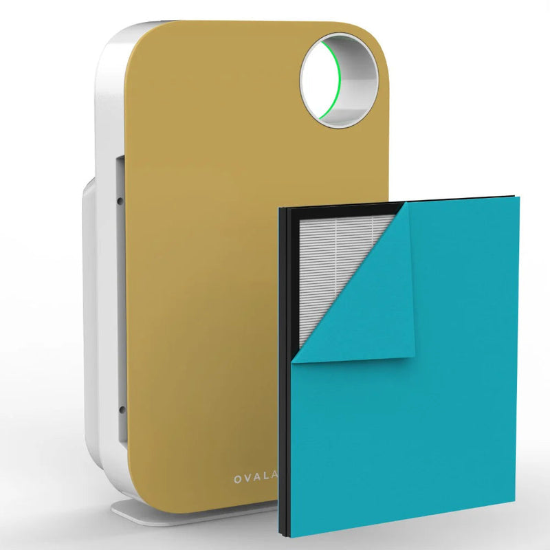 Oval Air Purifier - Puck's