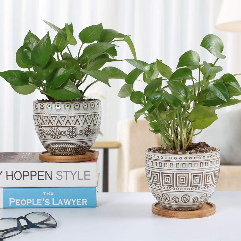 5.5In Geometry Ceramic Planter Large round Succulent Planter Flower Pot Indoor and Outdoor Brown Set of 2 - Puck's