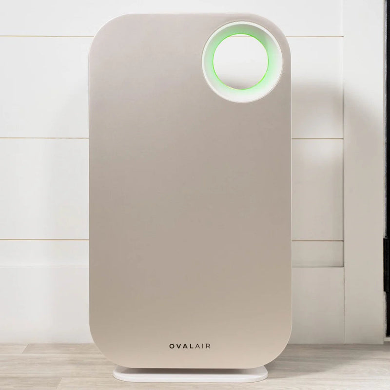 Oval Air Purifier - Puck's