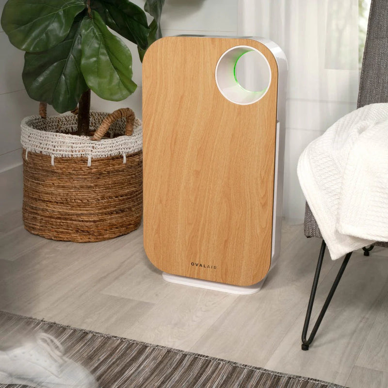Oval Air Purifier - Puck's