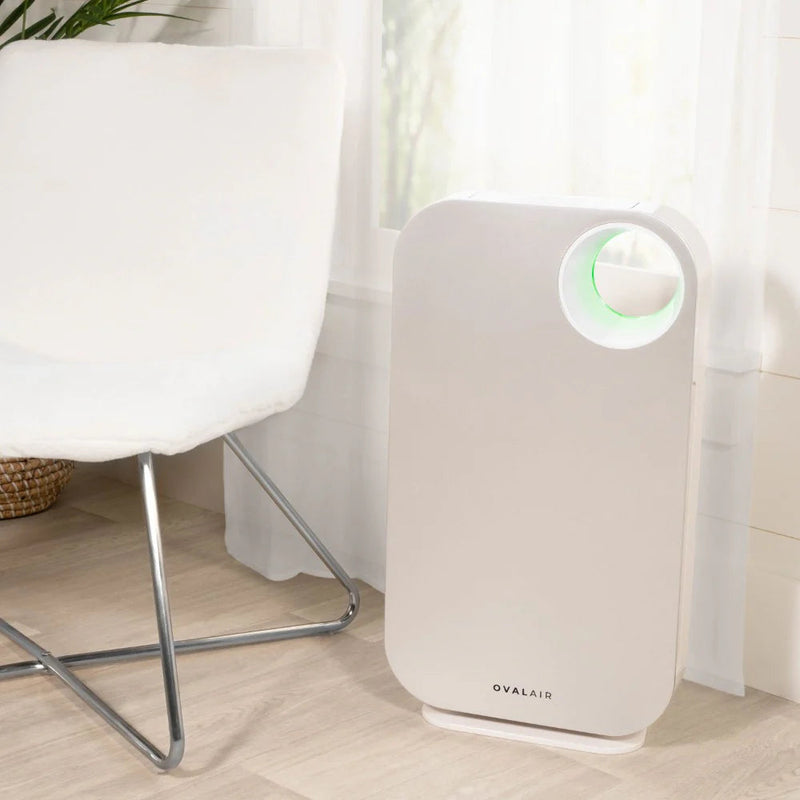 Oval Air Purifier - Puck's