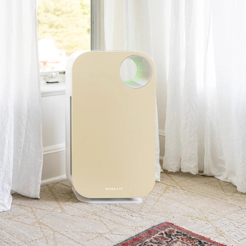 Oval Air Purifier - Puck's