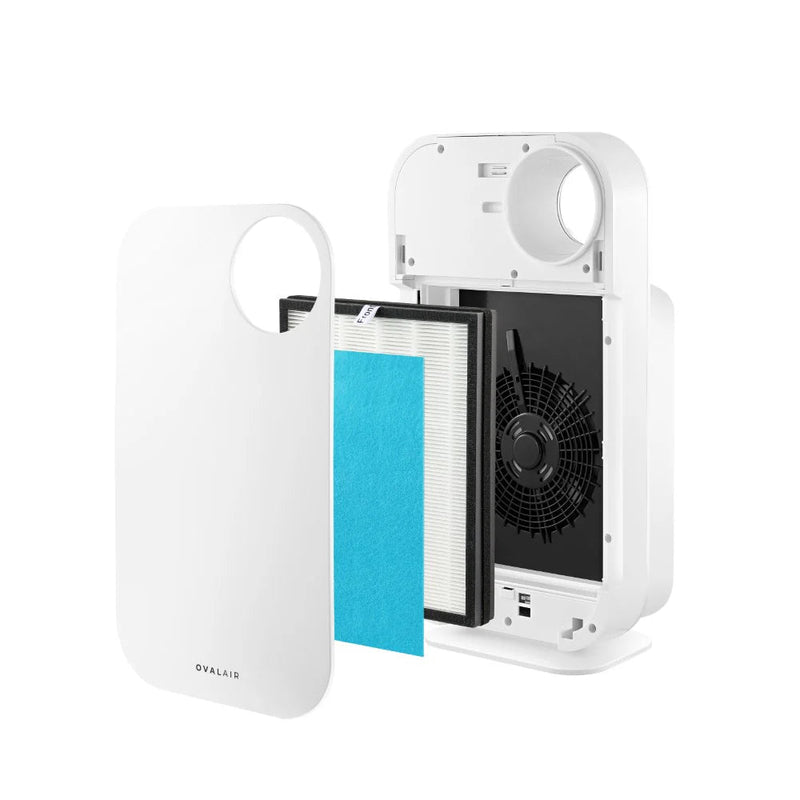 Oval Air Purifier - Puck's