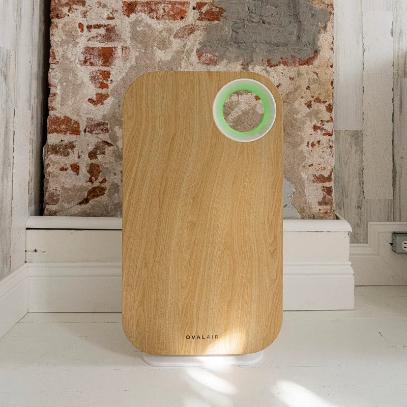 Oval Air Purifier - Puck's