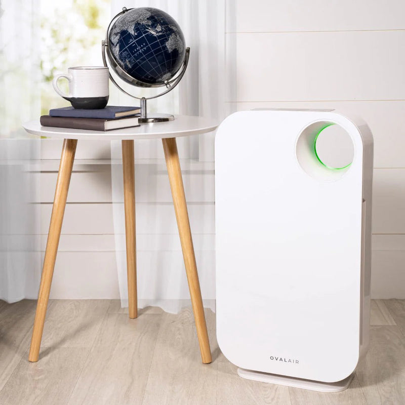 Oval Air Purifier - Puck's