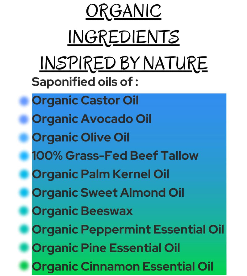 -Peppermint-Pine- Grass-Fed Beef Tallow and Organic Oils - Scented with Organic Essential Oils - Artisanal Bar Soap - 3 Pack - Each Bar Unique- - Puck's