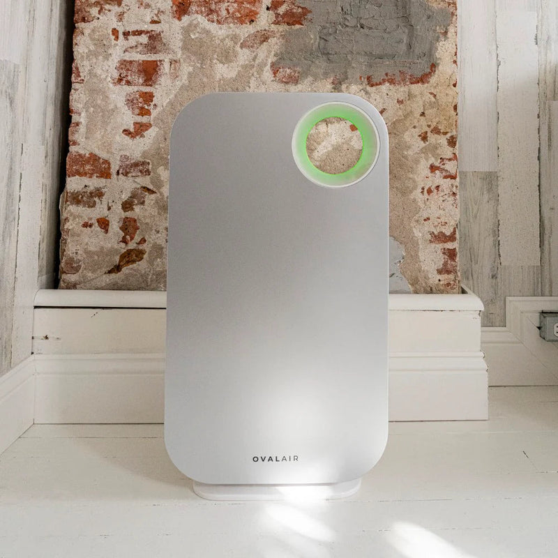 Oval Air Purifier - Puck's