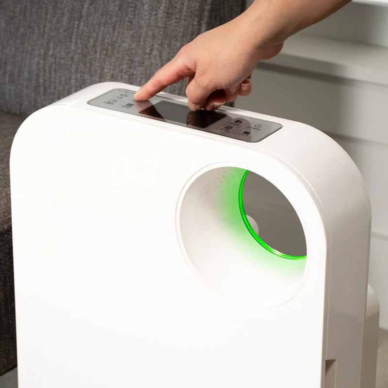 Oval Air Purifier - Puck's