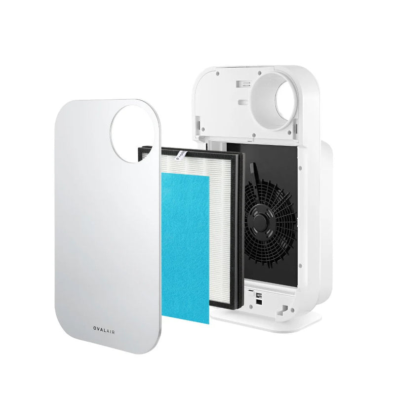 Oval Air Purifier - Puck's