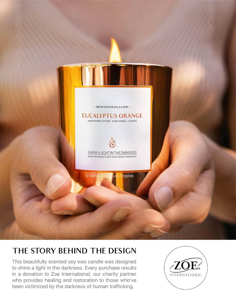 Eucalyptus Orange Wood Wick Candles | Soy Candles, Black Candle for Home | Gifts for Women and Men | Home Fragrance | Aromatherapy | Shelf Decor, Bathroom Freshener | 8Oz, 45 Hour Burn - Puck's