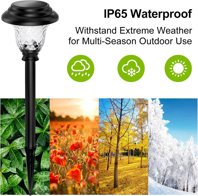 Glass Solar Lights Outdoor, 8 Pack Super Bright Solar Pathway Lights, up to 12 Hrs Long Last Auto On/Off Garden Lights Solar Powered Waterproof, Stainless Steel LED Landscape Lighting for Yard - Puck's