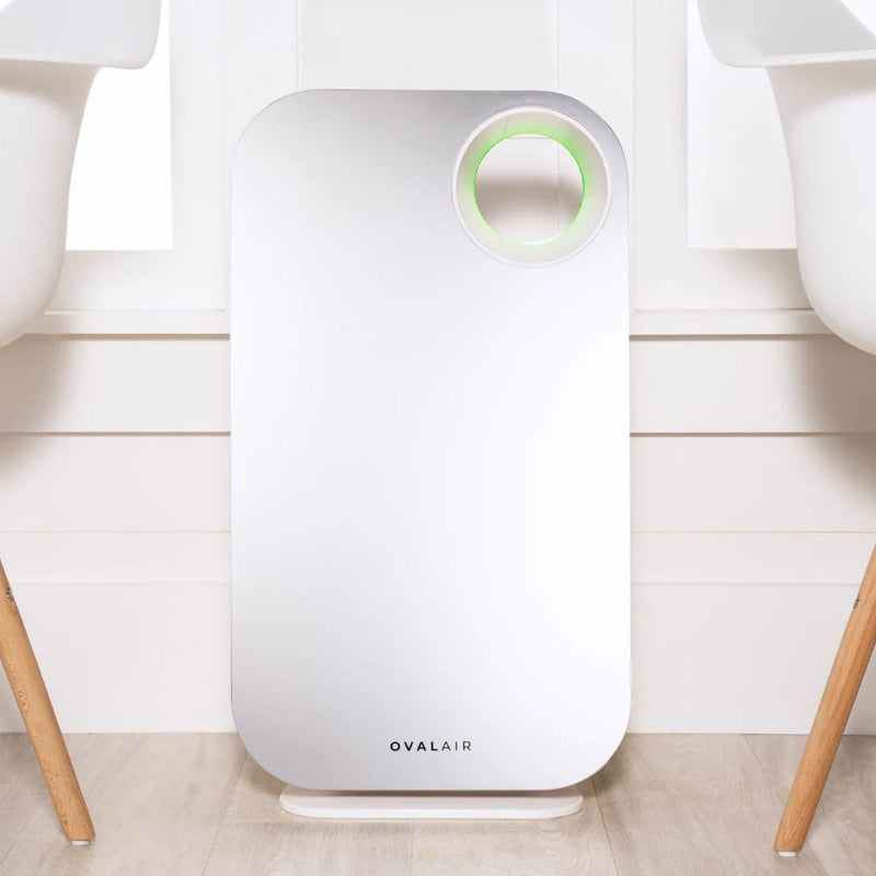 Oval Air Purifier - Puck's