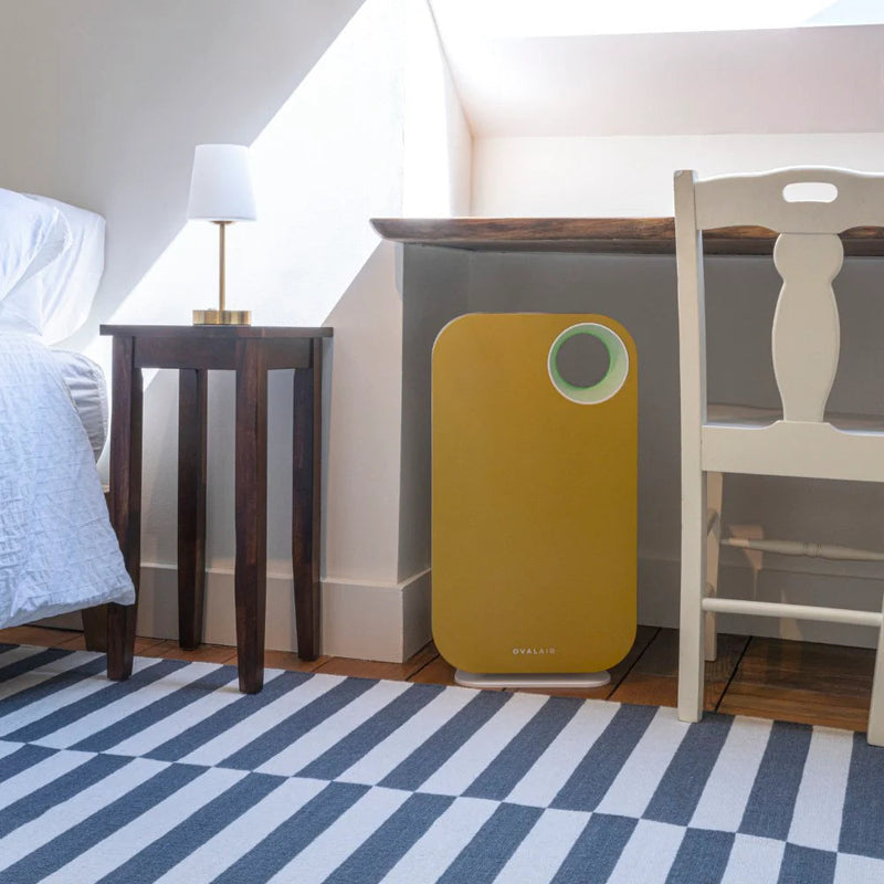 Oval Air Purifier - Puck's