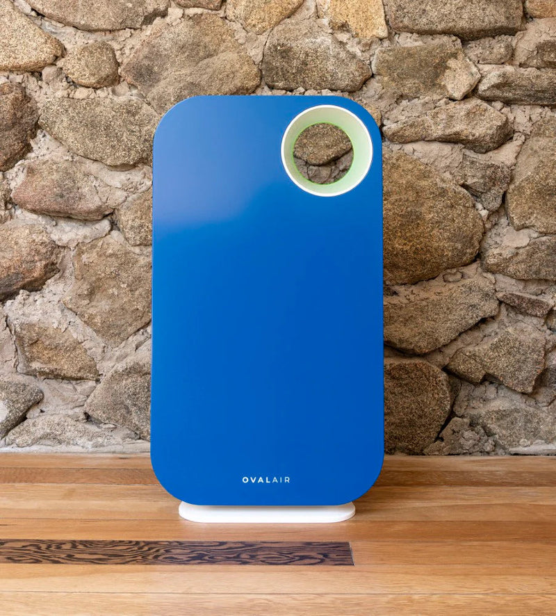 Oval Air Purifier - Puck's