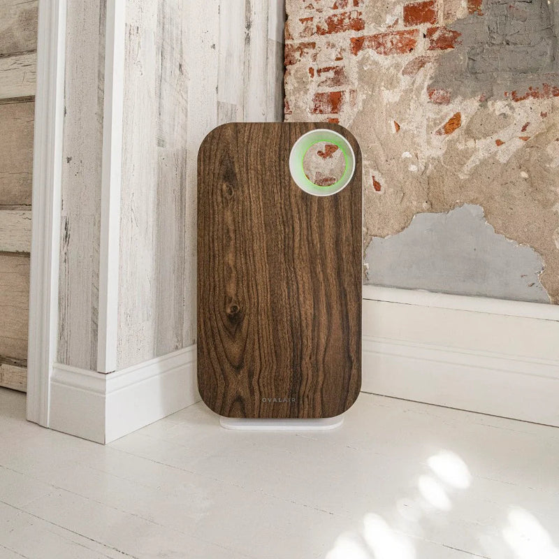 Oval Air Purifier - Puck's