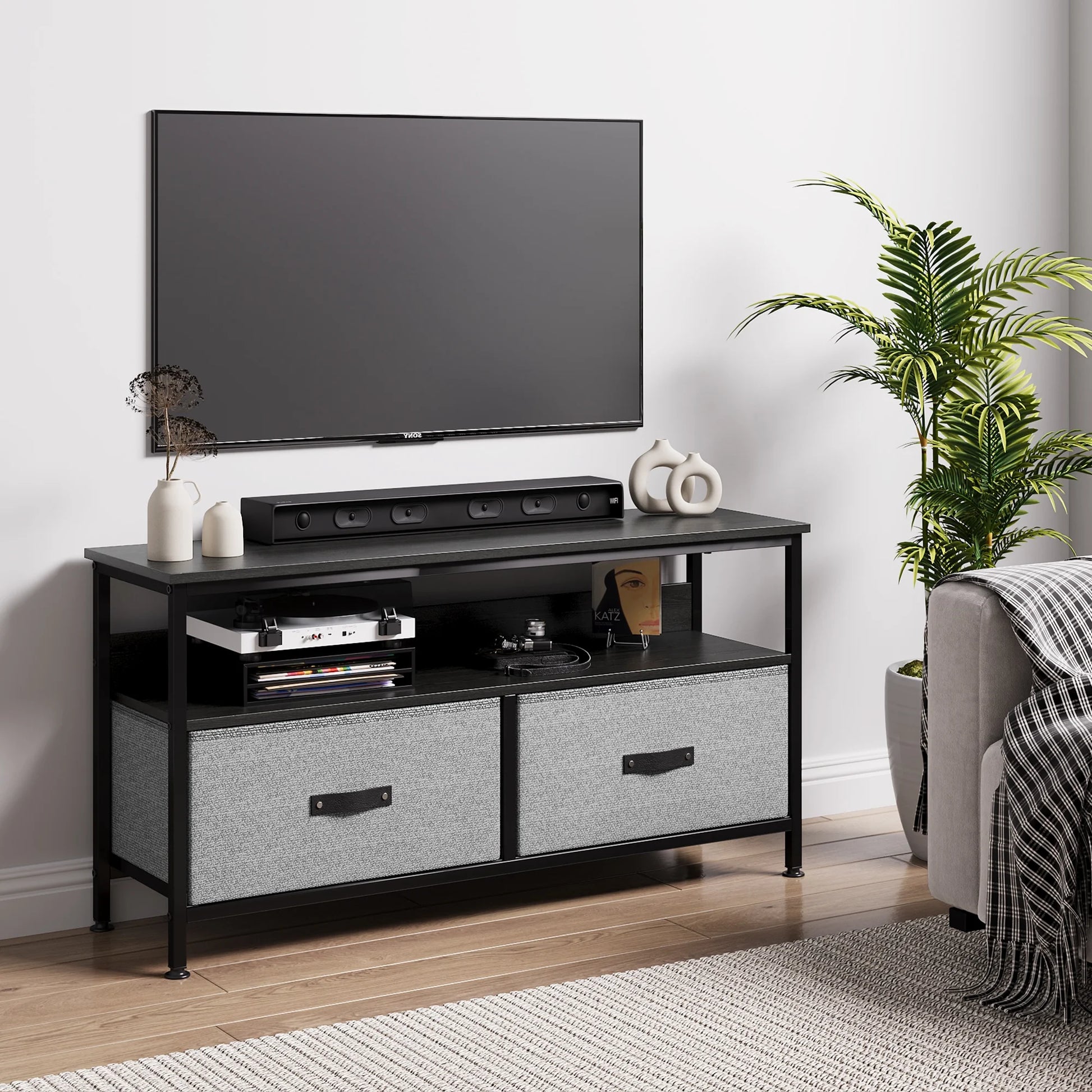 Dresser TV Stand 2-Drawers, 50 Inch TV Stand for Bedroom Small TV Stand Dresser with Shelves, TV & Media Console Table Furniture - Puck's