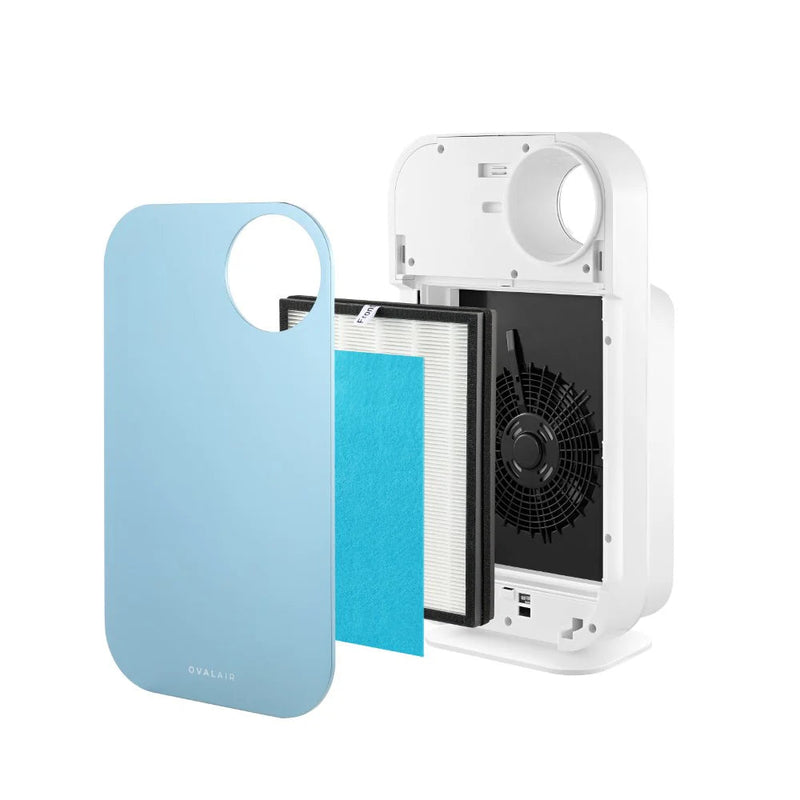 Oval Air Purifier - Puck's
